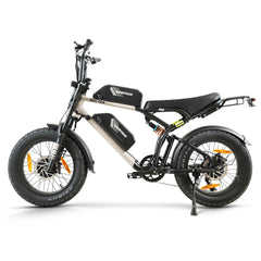 Hanevear Ham 2.0 1500W E-Bike for Adults Dual Battery