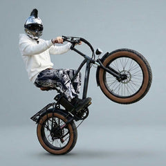 Hanevear Greg E-Mountainbike All Terrain