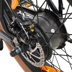 Greg Mountain Bike elettrica per tutti i terreni