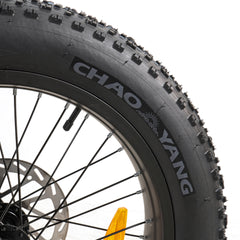 HANEVEAR Y20-Plus 20" Fat Tire Bicicletta elettrica pieghevole 48V/24AH