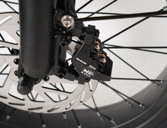 HANEVEAR Y20-Plus 20" Fat Tire Bicicletta elettrica pieghevole 48V/24AH