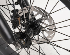 HANEVEAR Y20-Plus 20" Fat Tire Bicicletta elettrica pieghevole 48V/24AH