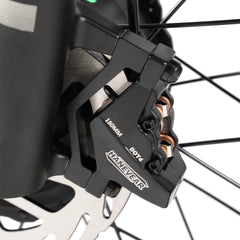 Vélo électrique Hanevear Ham 1500W pour adultes à double batterie