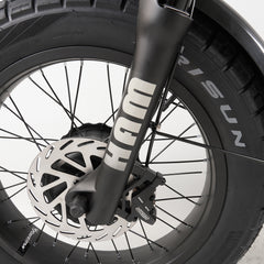 Vélo électrique Hanevear Ham 1500W pour adultes à double batterie