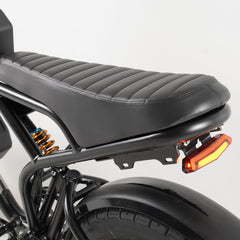 Hanevear Ham 1500W Bicicletta elettrica per adulti Doppia batteria