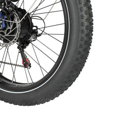 Hanevear DUCK 26" Fat Tire E-Bike 21Ah