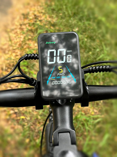 LCD Display