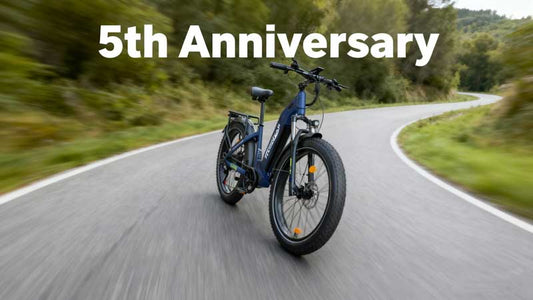 Learn All About Hanevear's 5th Anniversary