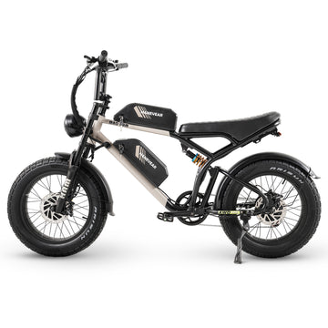 Side view of Hanevear Ham 1500W Electric Bike showing 20-inch fat tires and robust frame design
