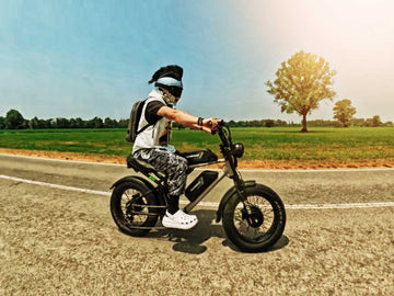 Hanevear Ham 1500W Electric Bike for Adults Dual Battery