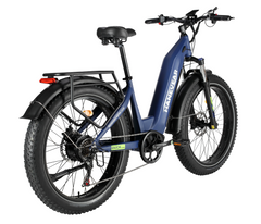 DUCK E-MTB (Used)