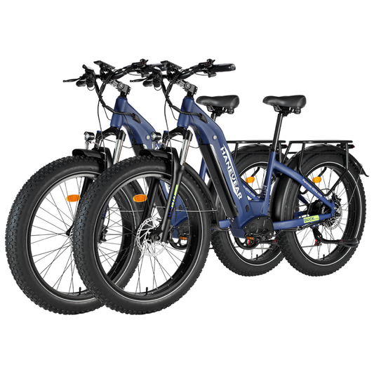 E-Bike-Paket - Hanevear DUCK (2er-Pack)