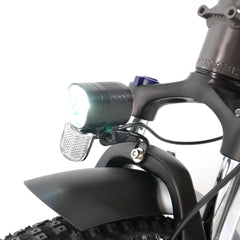 Hanevear H6-Light Faltbares Elektrofahrrad mit Drehmomentsensor, 120 km
