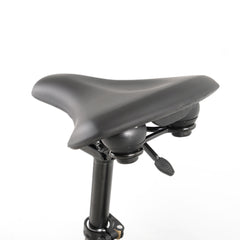 Hanevear H6-Light Faltbares Elektrofahrrad mit Drehmomentsensor, 120 km