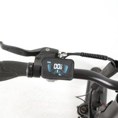 Hanevear H6-Light Faltbares Elektrofahrrad mit Drehmomentsensor, 120 km