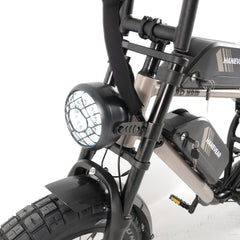 Hanevear Ham 1500W Bicicletta elettrica per adulti Doppia batteria