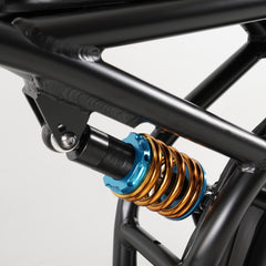 Hanevear Ham 1500W Bicicletta elettrica per adulti Doppia batteria