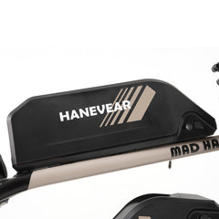 Electric Bicycle Battery