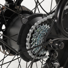 Hanevear Ham 1500W Bicicletta elettrica per adulti Doppia batteria
