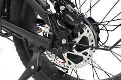 HANEVEAR RX20MAX-Pro 20'' Fat Tire Bici elettrica AWD Doppio motore 1500W