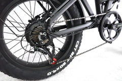 HANEVEAR RX20MAX-Pro 20'' Fat Tire Bici elettrica AWD Doppio motore 1500W