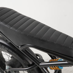 Hanevear Ham 1500W Bicicletta elettrica per adulti Doppia batteria