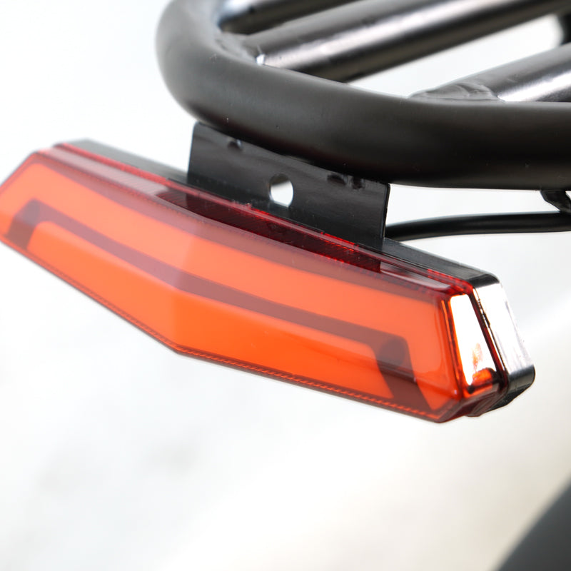 Hanevear Ham 2.0 1500W E-Bike for Adults Dual Battery