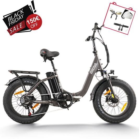 Bici elettrica pieghevole HANEVEAR H6-S per adulti