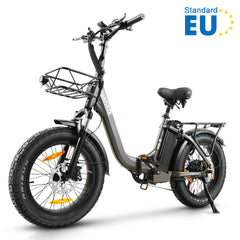 Bici elettrica pieghevole HANEVEAR H6-S per adulti