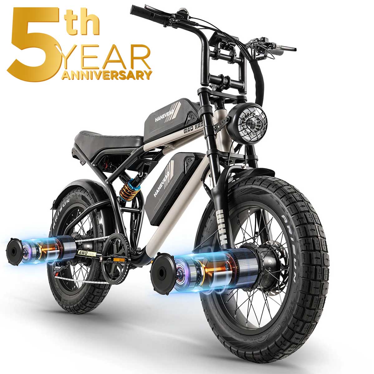 Hanevear Ham 1500W Electric Bike for Adults Dual Battery