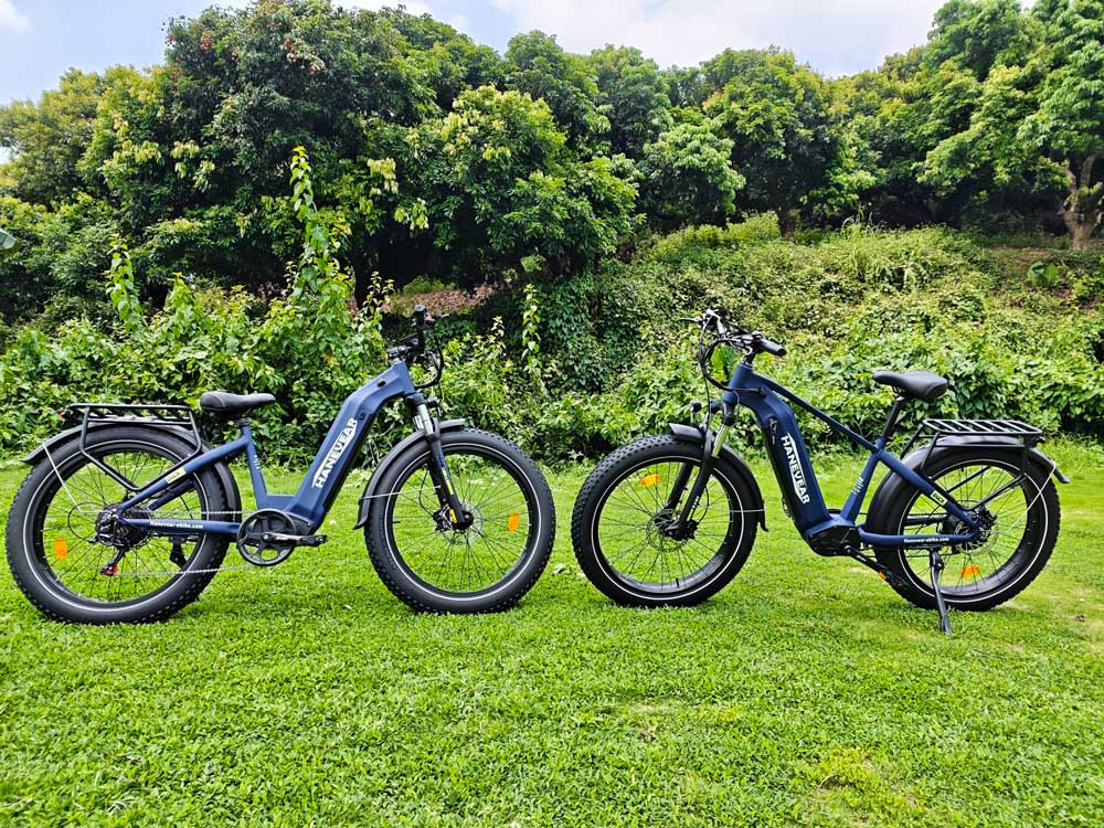 Hanevear DUCK 26" Fat Tire E-Bike 21Ah