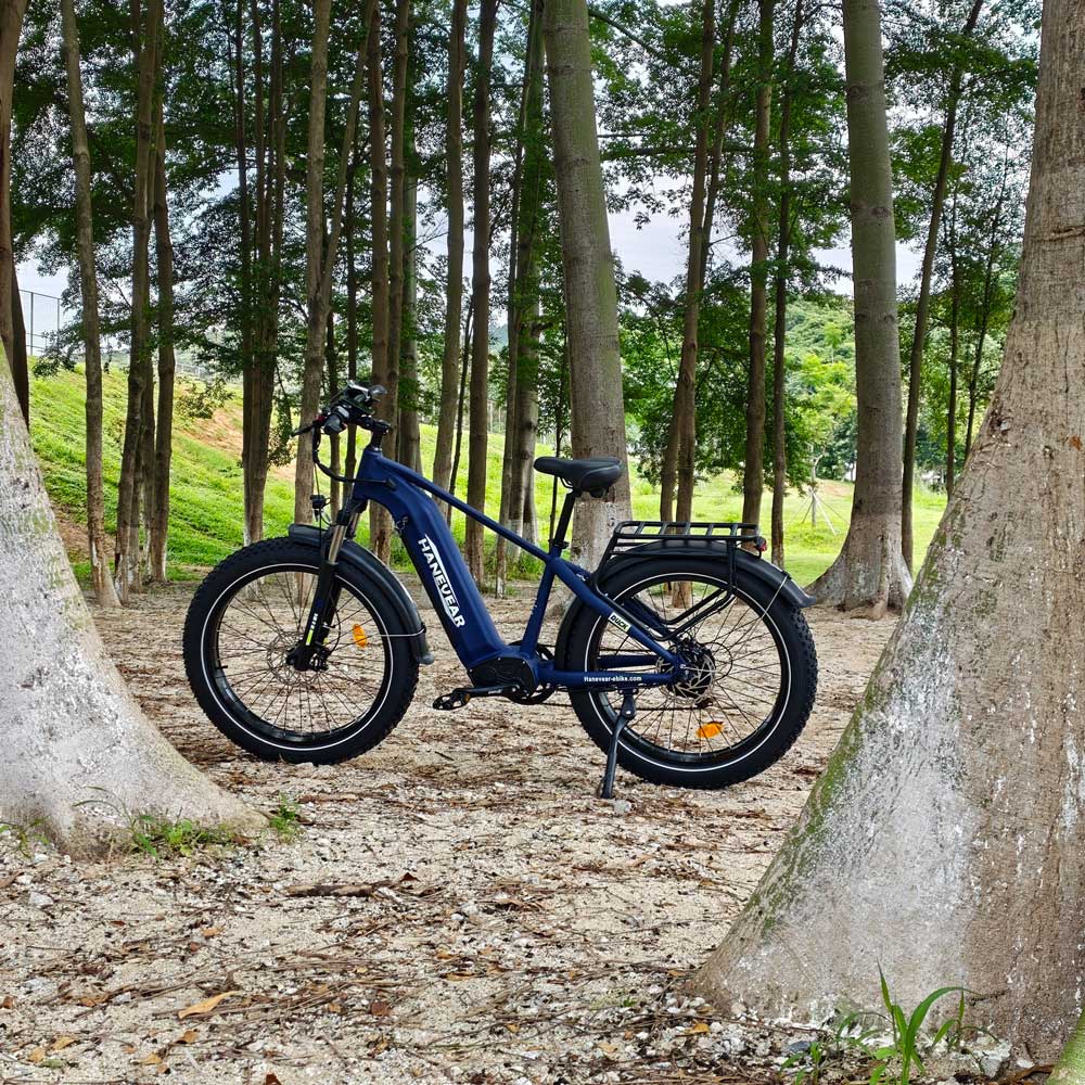 Hanevear DUCK 26" Fat Tire E-Bike 21Ah