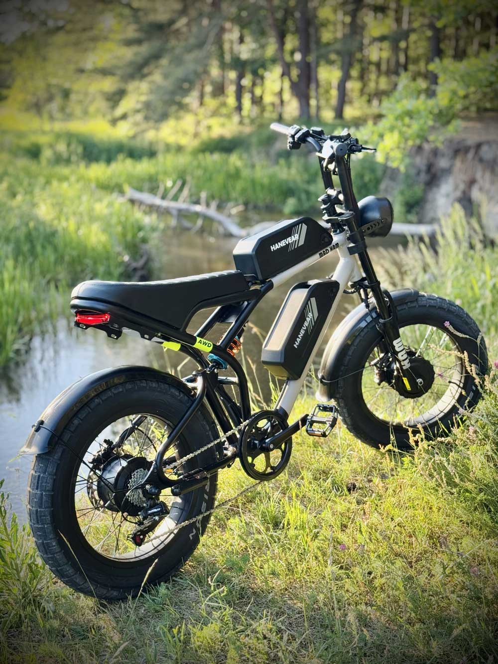 Hanevear Ham 1500W Elektrofahrrad | Mountainbike mit Doppelakku