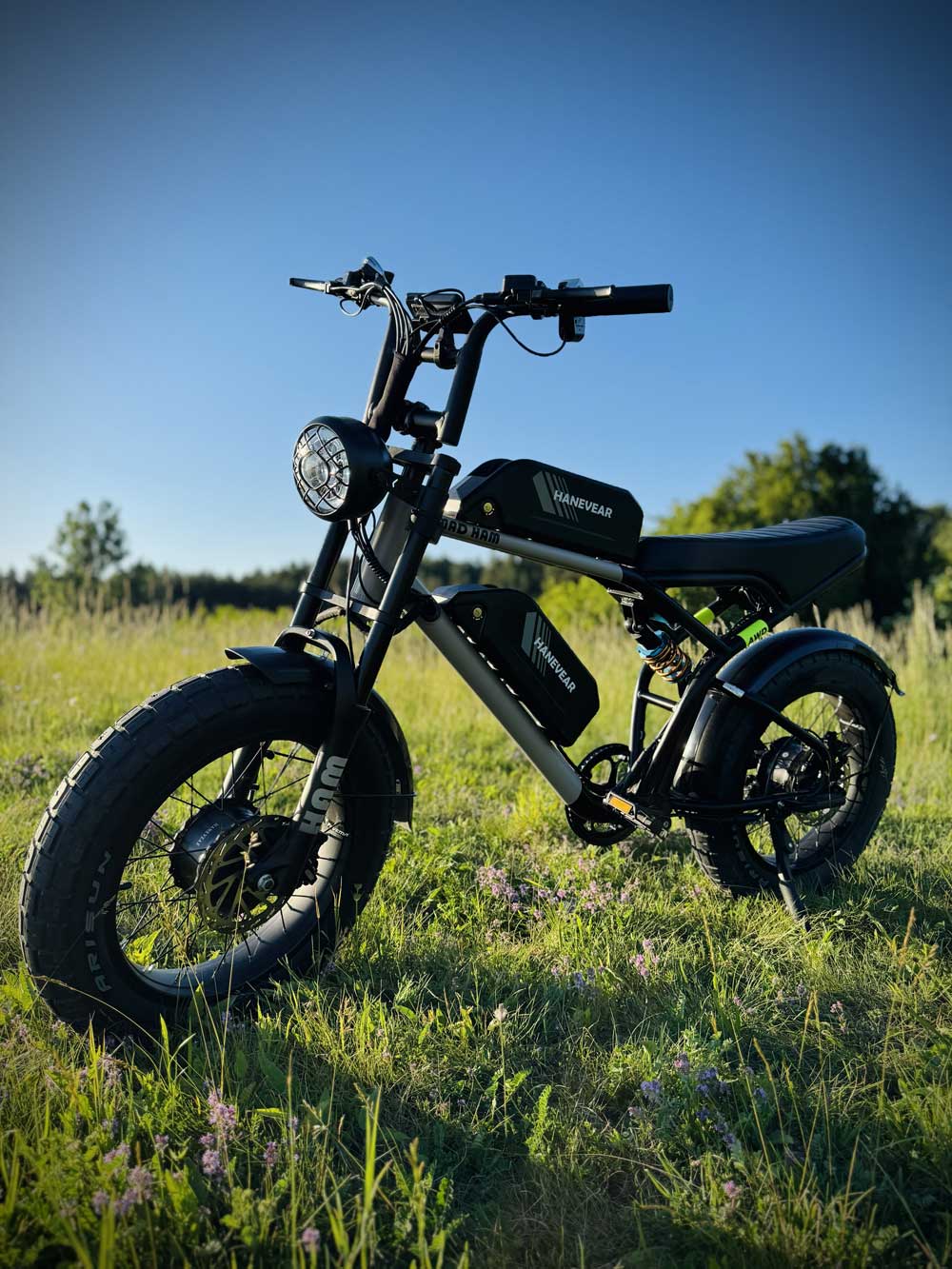 Hanevear Ham 1500W Electric Bike for Adults Dual Battery