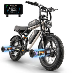 Hanevear Ham 1500W Bicicletta elettrica per adulti Doppia batteria