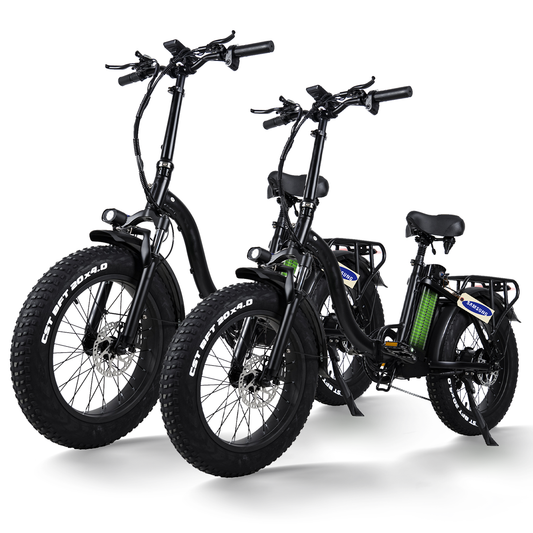 E-Bike-Paket – Hanevear Y20-Plus (2er-Pack)