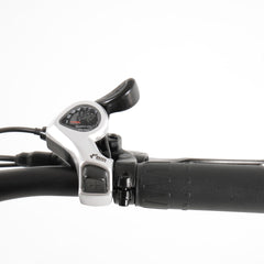 HANEVEAR H6-S Faltbares Elektrofahrrad für Erwachsene