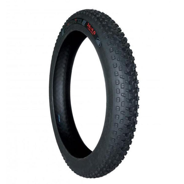 E-Bike 20in Tire