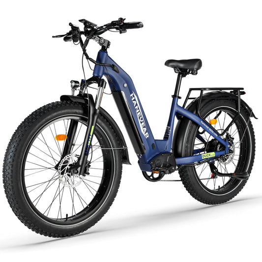 Hanevear DUCK 26" Fat Tire E-MTB für Erwachsene