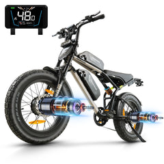 Hanevear Ham 2.0 1500W E-Bike for Adults Dual Battery